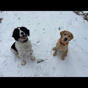 Meet your Posher, Heidi